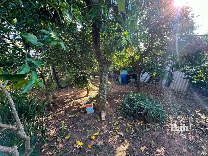 Casa com 5 quartos à venda, 682m2 em São José, Canoas - RS - imagem 4 Foto 4 de Casa com 5 quartos à venda, 682m2 em São José, Canoas - RS