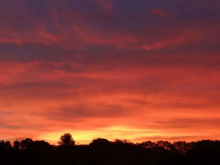 Chácara com 3 quartos à venda, 20000m2 em Aracoiaba Da Serra - SP - imagem 8 Foto 8 de Chácara com 3 quartos à venda, 20000m2 em Aracoiaba Da Serra - SP