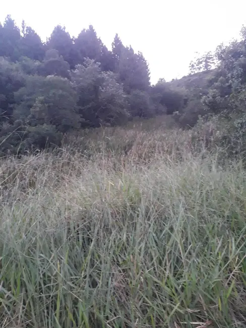 Foto 4 de Sítio / Rancho à venda em Sao Miguel Arcanjo - SP