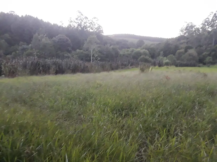 Foto 8 de Sítio / Rancho à venda em Sao Miguel Arcanjo - SP