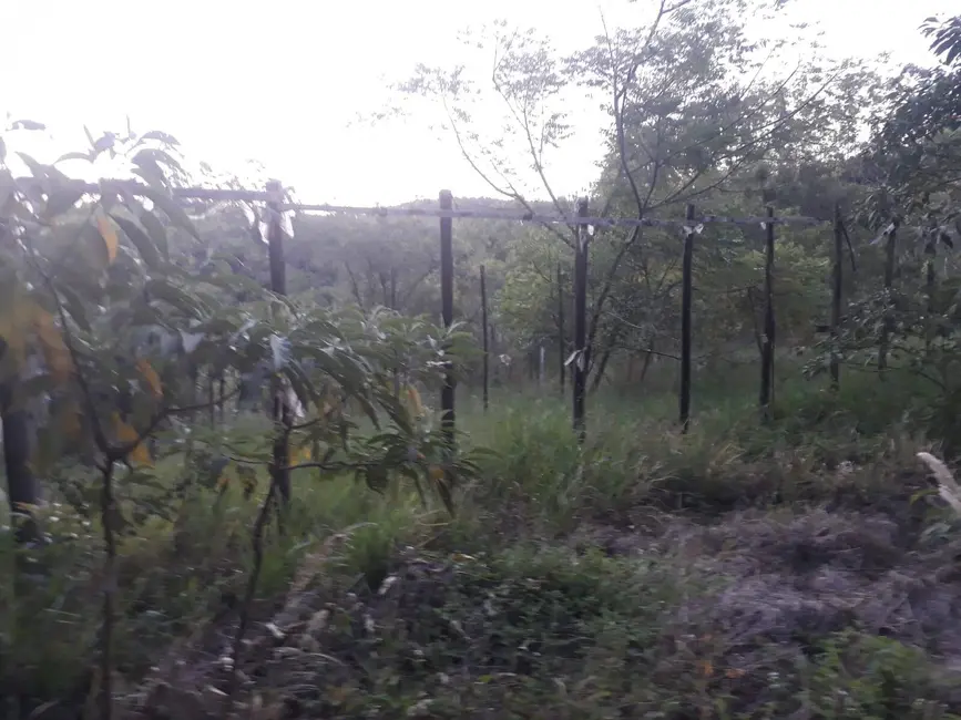 Foto 3 de Sítio / Rancho à venda em Sao Miguel Arcanjo - SP