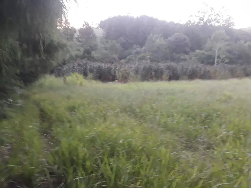 Foto 5 de Sítio / Rancho à venda em Sao Miguel Arcanjo - SP