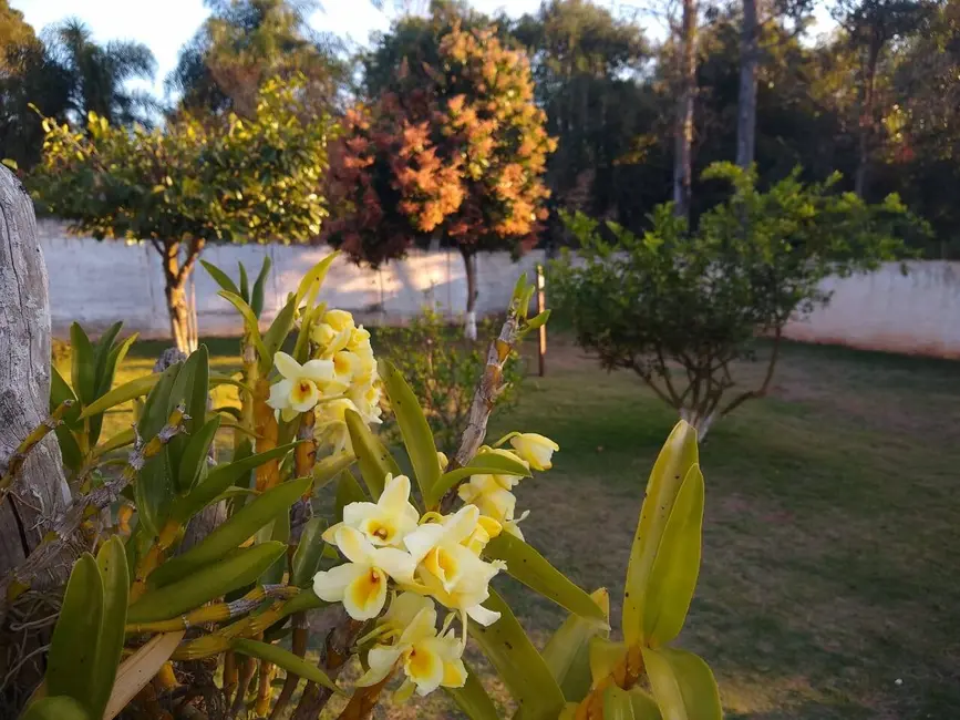 Foto 4 de Chácara com 4 quartos à venda, 1250m2 em Aracoiaba Da Serra - SP