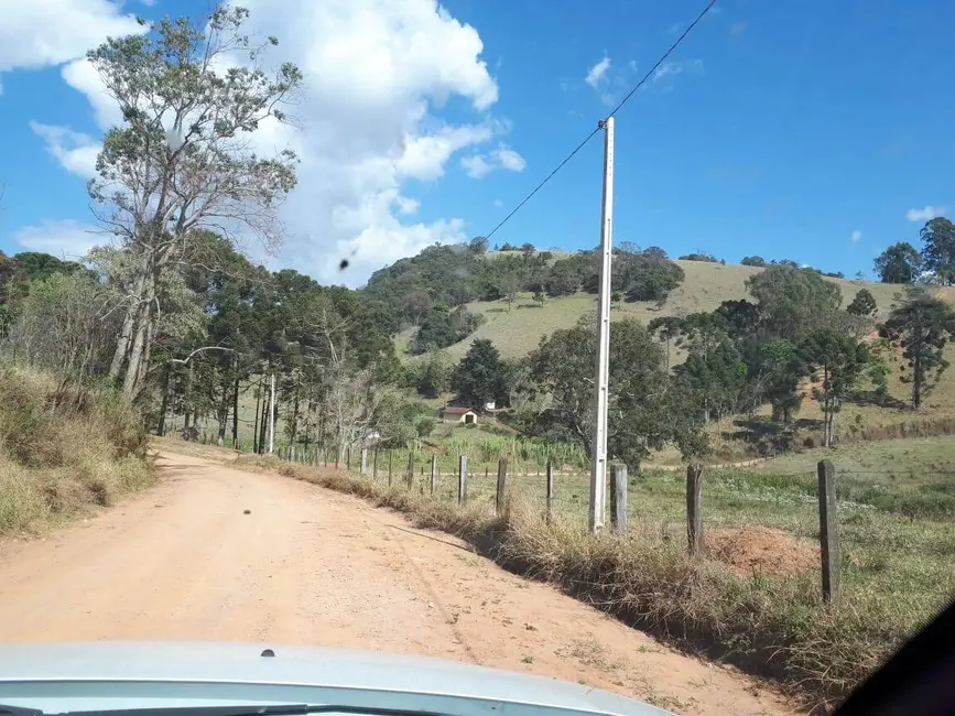 Sítio / Rancho com 4 quartos à venda, 200000m2 em Itapeva - MG - imagem 8 Foto 8 de Sítio / Rancho com 4 quartos à venda, 200000m2 em Itapeva - MG