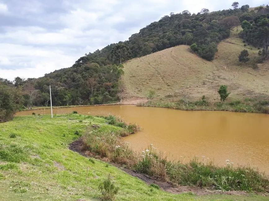 Foto 1 de Sítio / Rancho com 4 quartos à venda, 200000m2 em Itapeva - MG