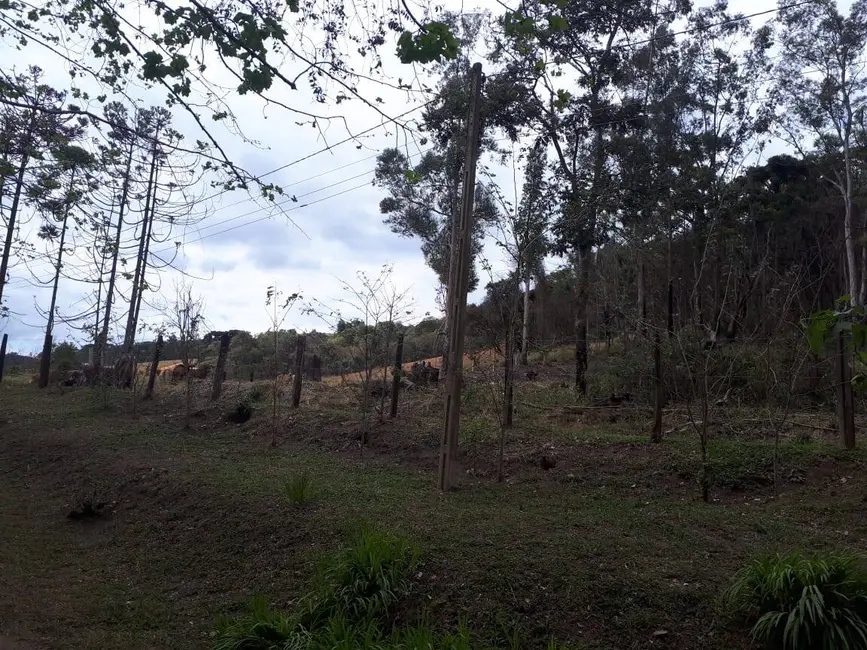 Foto 7 de Sítio / Rancho com 4 quartos à venda, 200000m2 em Itapeva - MG