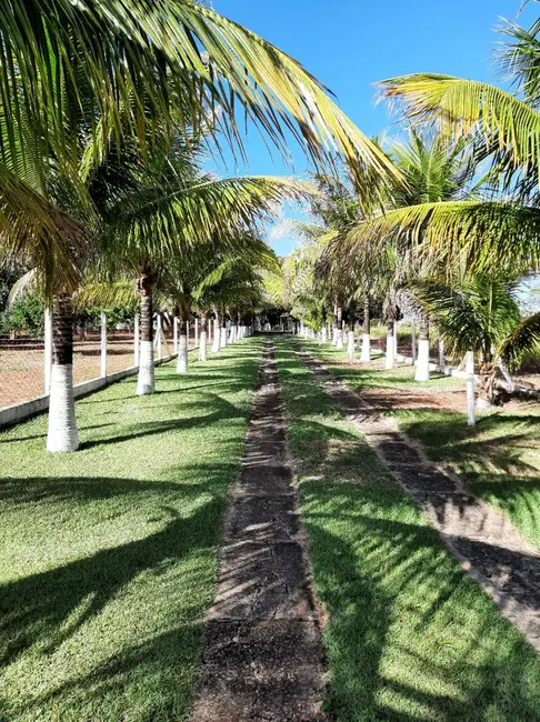 Foto 1 de Sítio / Rancho com 3 quartos à venda, 1030000m2 em Capela Do Alto - SP