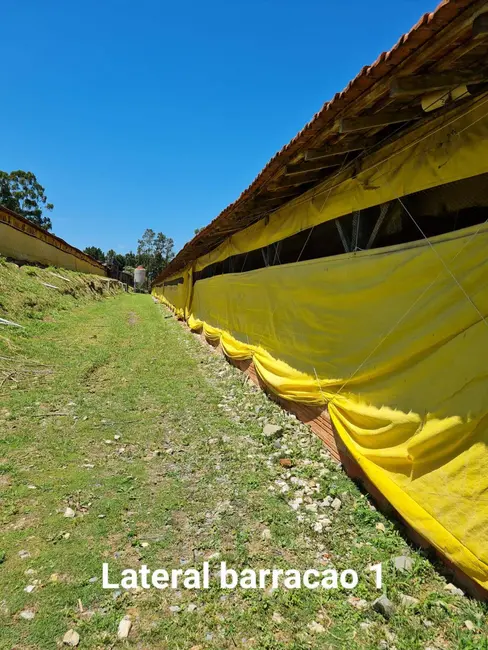 Foto 11 de Terreno / Lote à venda em Jardim Vieira de Moraes, Itapetininga - SP