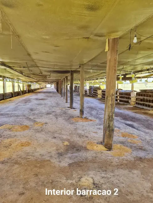 Foto 17 de Terreno / Lote à venda em Jardim Vieira de Moraes, Itapetininga - SP