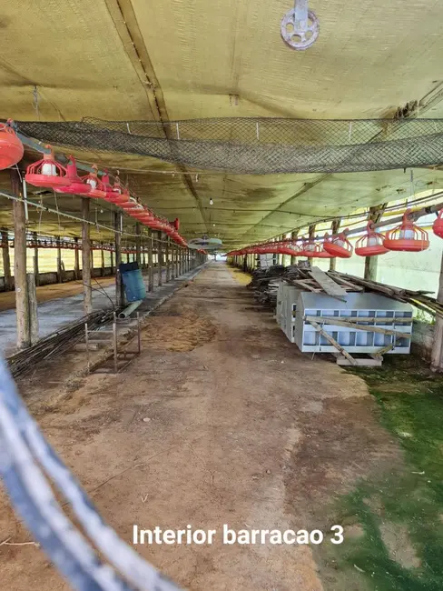 Foto 19 de Terreno / Lote à venda em Jardim Vieira de Moraes, Itapetininga - SP