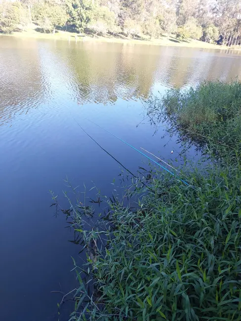 Chácara com 4 quartos à venda, 4200m2 em Iperozinho, Capela Do Alto - SP - imagem 3 Foto 3 de Chácara com 4 quartos à venda, 4200m2 em Iperozinho, Capela Do Alto - SP