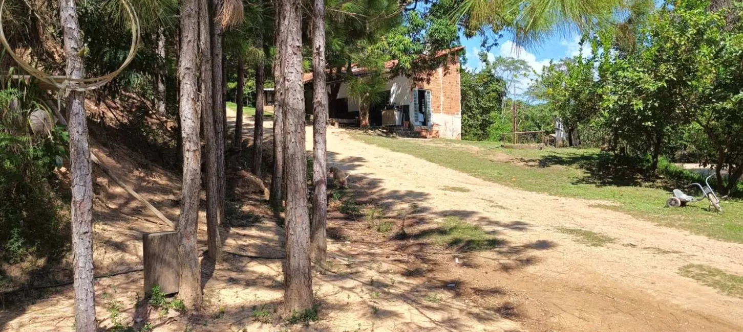 Chácara com 2 quartos à venda, 6000m2 em Itu - SP - imagem 3 Foto 3 de Chácara com 2 quartos à venda, 6000m2 em Itu - SP