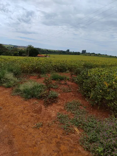 Foto 1 de Sítio / Rancho com 1 quarto à venda, 24m2 em Centro, Itaporanga - SP
