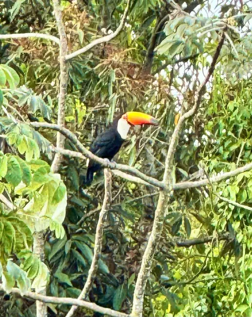 Lote de Condomínio à venda, 200m2 em Jardim Novo Horizonte, Sorocaba - SP - imagem 5 Foto 5 de Lote de Condomínio à venda, 200m2 em Jardim Novo Horizonte, Sorocaba - SP