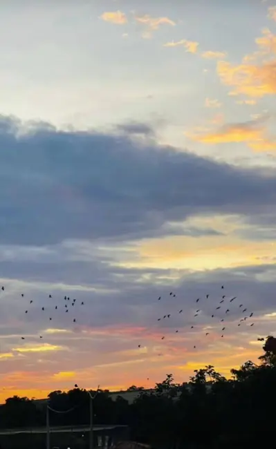 Lote de Condomínio à venda, 200m2 em Jardim Novo Horizonte, Sorocaba - SP - imagem 8 Foto 8 de Lote de Condomínio à venda, 200m2 em Jardim Novo Horizonte, Sorocaba - SP