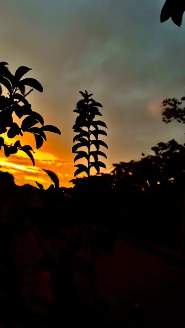 Foto 3 de Lote de Condomínio à venda, 200m2 em Jardim Novo Horizonte, Sorocaba - SP