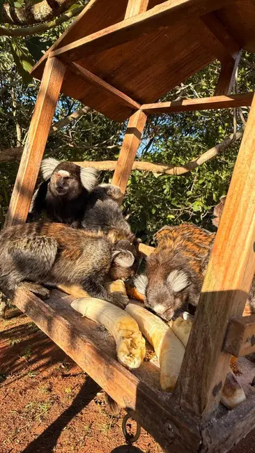 Foto 2 de Lote de Condomínio à venda, 200m2 em Jardim Novo Horizonte, Sorocaba - SP