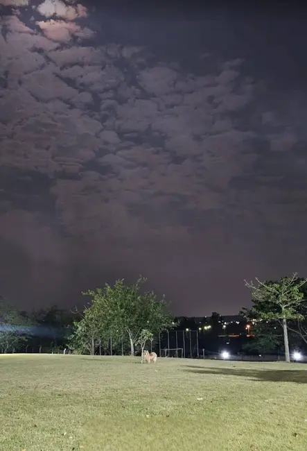 Foto 3 de Lote de Condomínio à venda, 236m2 em Sorocaba - SP