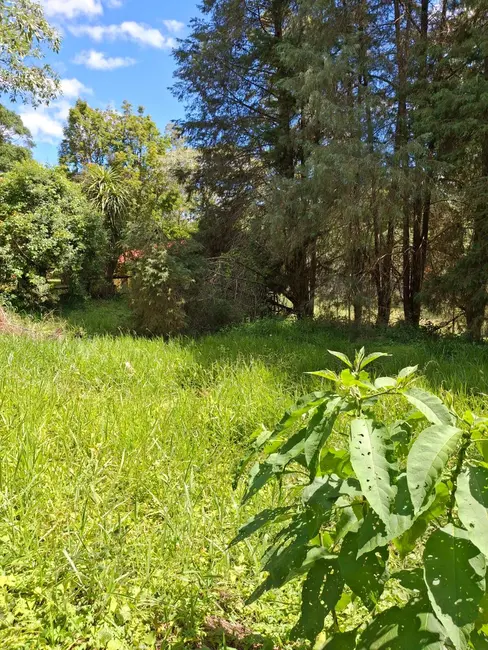 Foto 3 de Lote de Condomínio à venda, 1179m2 em Vargem Grande Paulista - SP