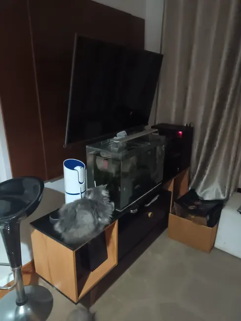 Apartamento com 2 quartos à venda, 44m2 em São Paulo - SP - imagem 4 Foto 4 de Apartamento com 2 quartos à venda, 44m2 em São Paulo - SP