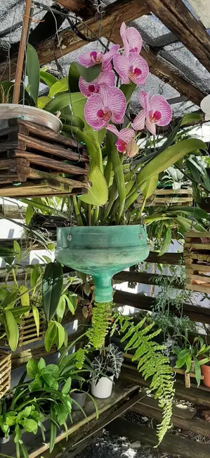 Foto 8 de Casa com 2 quartos à venda, 60m2 em Mongagua - SP