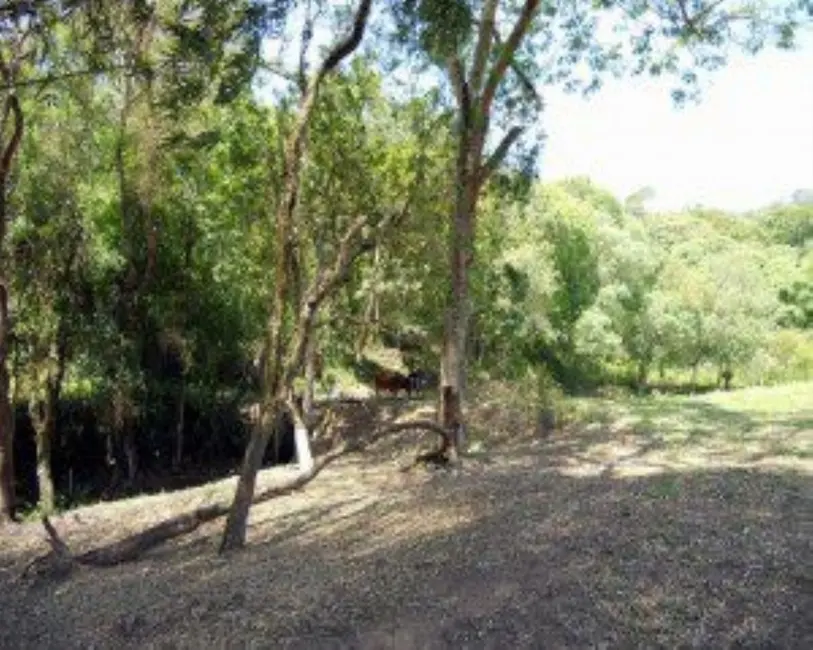 Terreno / Lote à venda, 10324m2 em Ibiuna - SP - imagem 6 Foto 6 de Terreno / Lote à venda, 10324m2 em Ibiuna - SP