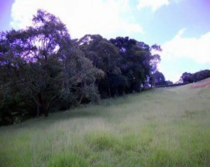 Terreno / Lote à venda, 10324m2 em Ibiuna - SP - imagem 8 Foto 8 de Terreno / Lote à venda, 10324m2 em Ibiuna - SP