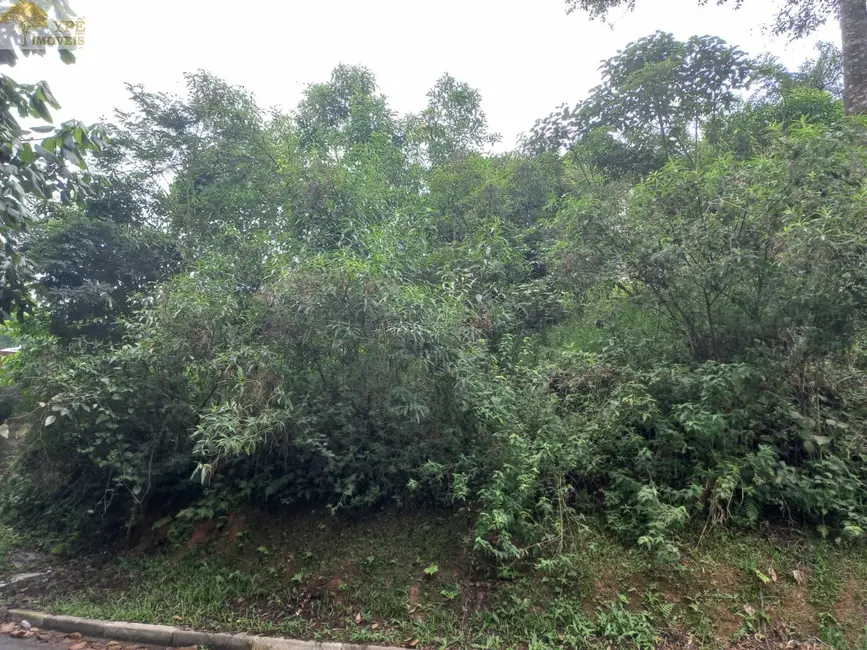 Foto 6 de Terreno / Lote à venda, 395m2 em Recanto Vista Alegre, Cotia - SP