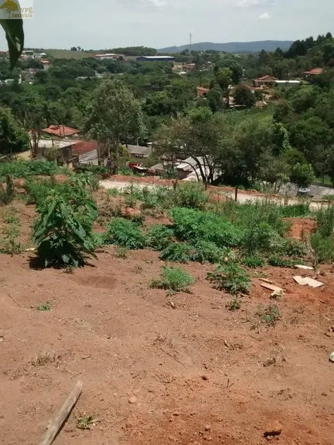 Foto 6 de Terreno / Lote à venda, 250m2 em Cotia - SP