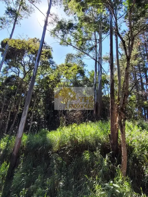 Foto 3 de Terreno / Lote à venda, 5737m2 em Cotia - SP