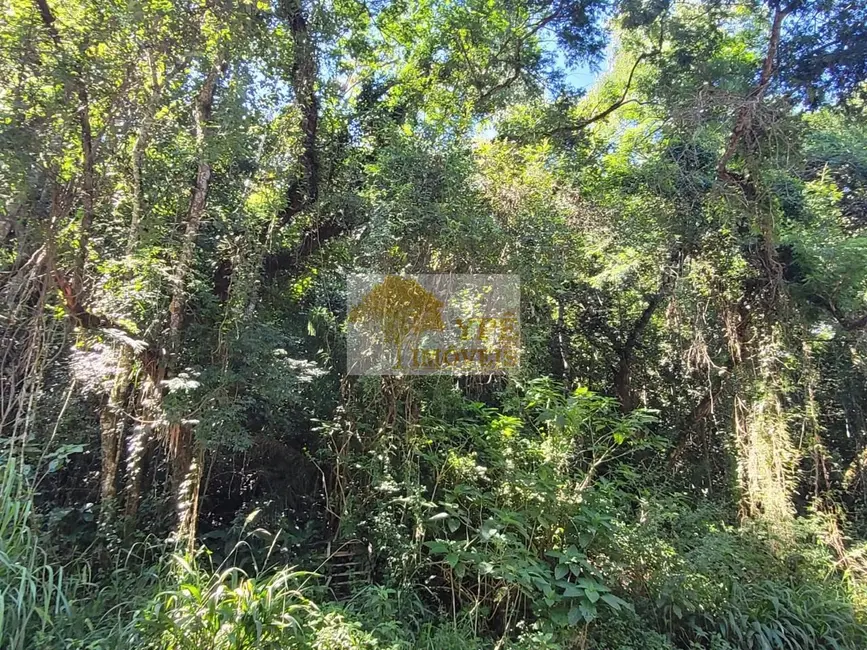 Foto 8 de Terreno / Lote à venda, 5737m2 em Cotia - SP