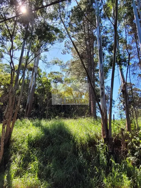 Foto 1 de Terreno / Lote à venda, 5737m2 em Cotia - SP