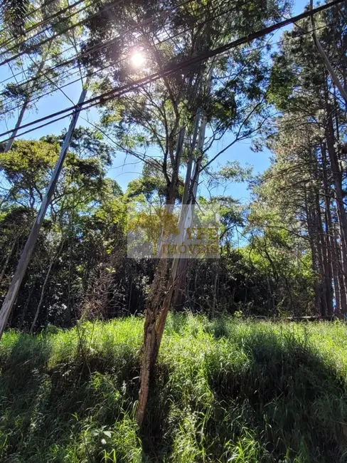 Foto 2 de Terreno / Lote à venda, 5737m2 em Cotia - SP