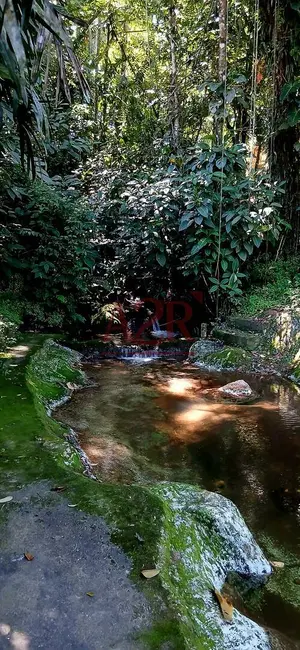 Casa para alugar em Parque das Palmeiras, Angra Dos Reis - RJ - imagem 6 Foto 6 de Casa para alugar em Parque das Palmeiras, Angra Dos Reis - RJ