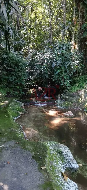 Casa para alugar em Parque das Palmeiras, Angra Dos Reis - RJ - imagem 7 Foto 7 de Casa para alugar em Parque das Palmeiras, Angra Dos Reis - RJ