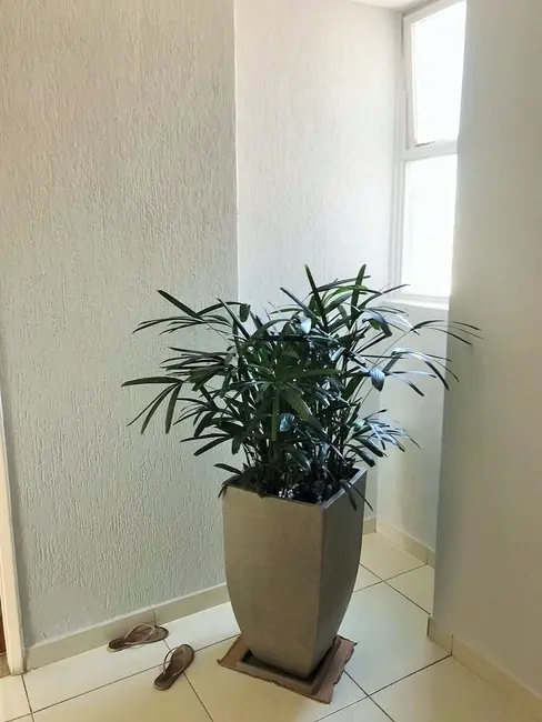 Foto 7 de Apartamento com 2 quartos à venda, 128m2 em Campos Elíseos, São Paulo - SP