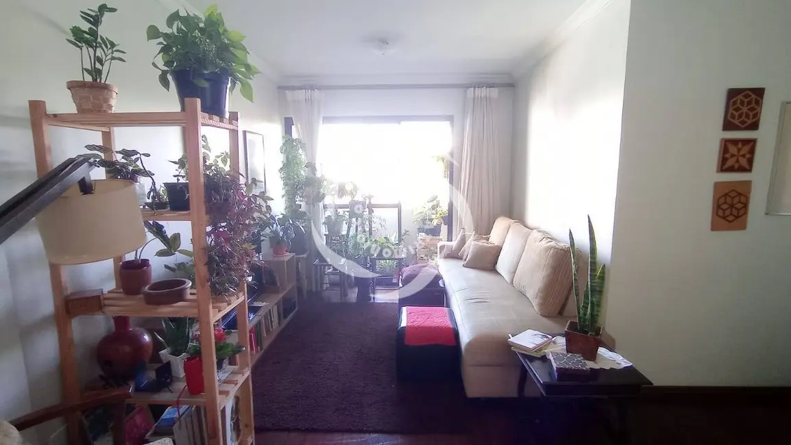 Apartamento com 3 quartos à venda, 79m2 em Vila Firmiano Pinto, São Paulo - SP - imagem 7 Foto 7 de Apartamento com 3 quartos à venda, 79m2 em Vila Firmiano Pinto, São Paulo - SP