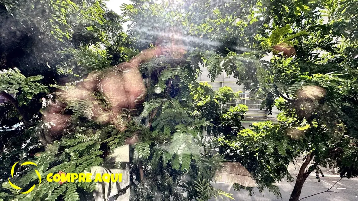 Foto 6 de Apartamento com 2 quartos à venda, 96m2 em Vila Buarque, São Paulo - SP