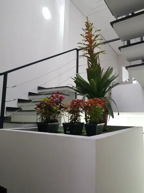 Foto 5 de Sobrado com 3 quartos à venda, 88m2 em Chácara Inglesa, São Paulo - SP