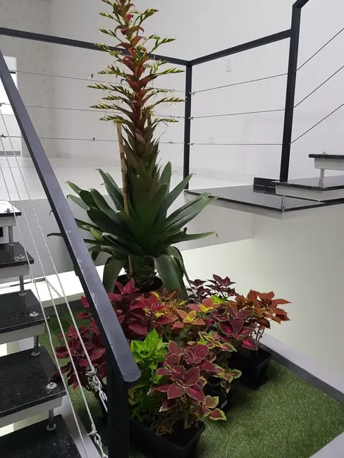 Foto 6 de Sobrado com 3 quartos à venda, 88m2 em Chácara Inglesa, São Paulo - SP