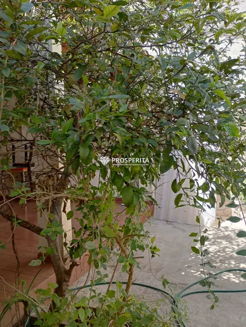 Foto 1 de Casa com 3 quartos à venda, 638m2 em Centro, Diadema - SP
