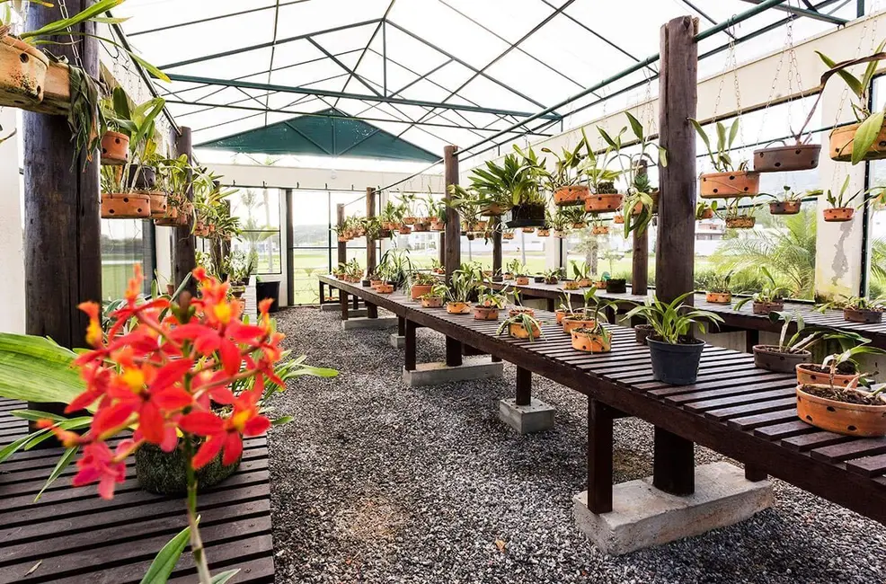 Casa com 3 quartos à venda, 295m2 em Santa Regina, Camboriu - SC - imagem 6 Foto 6 de Casa com 3 quartos à venda, 295m2 em Santa Regina, Camboriu - SC