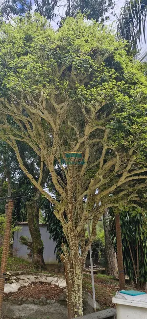 Chácara com 3 quartos à venda, 5420m2 em - SP - imagem 7 Foto 7 de Chácara com 3 quartos à venda, 5420m2 em - SP