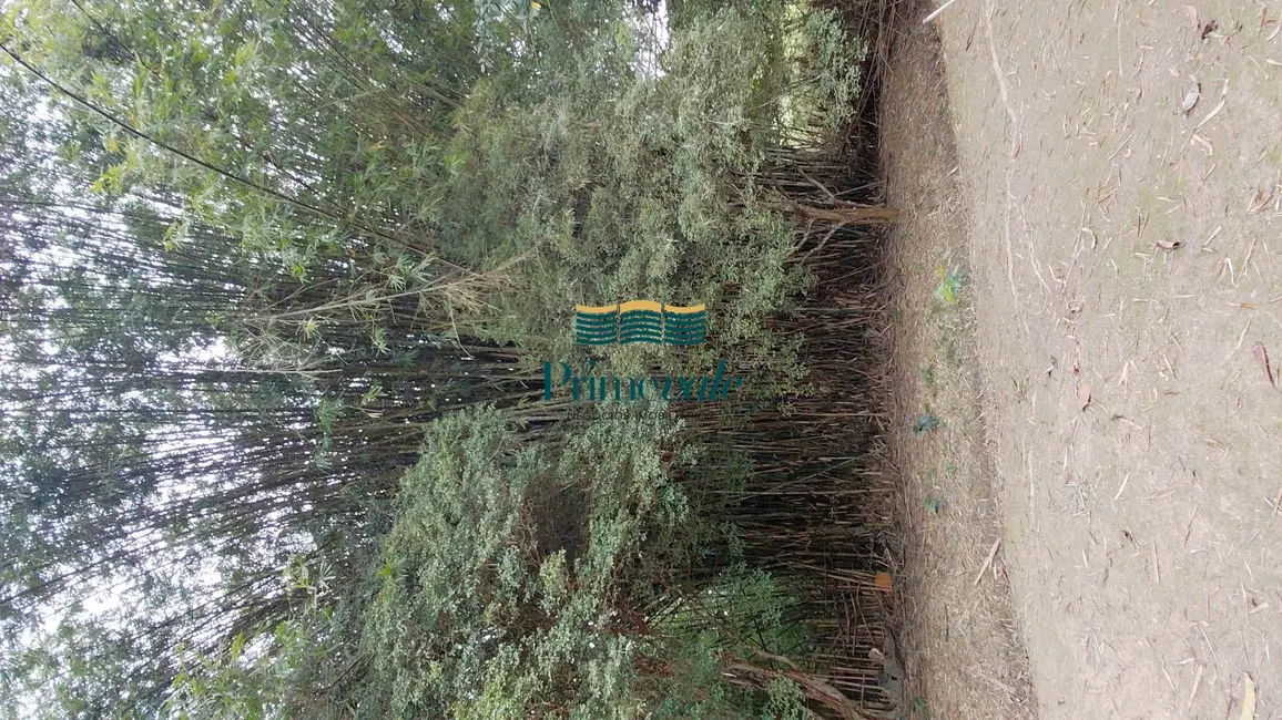 Chácara com 2 quartos à venda, 3157m2 em Sao Jose Dos Campos - SP - imagem 9 Foto 9 de Chácara com 2 quartos à venda, 3157m2 em Sao Jose Dos Campos - SP