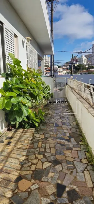 Casa com 3 quartos à venda, 256m2 em Jardim Proença, Campinas - SP - imagem 4 Foto 4 de Casa com 3 quartos à venda, 256m2 em Jardim Proença, Campinas - SP