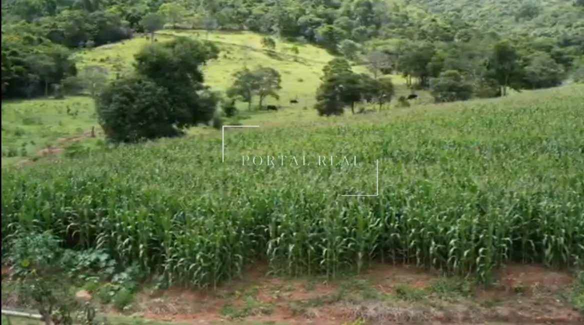 Foto 7 de Sítio / Rancho com 3 quartos à venda, 200m2 em Guape - MG
