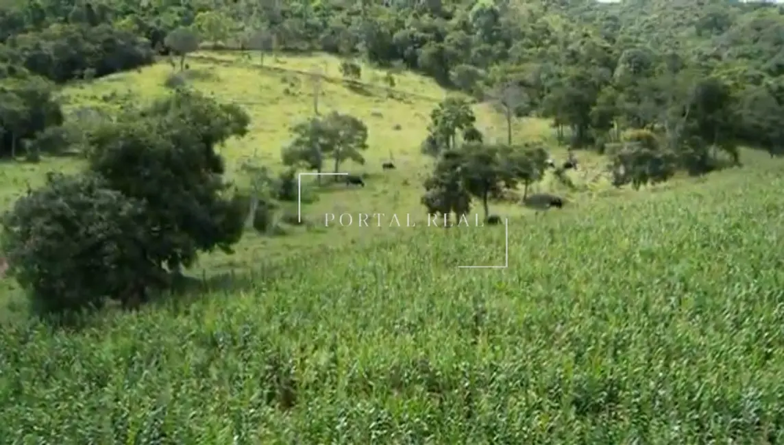 Foto 3 de Sítio / Rancho com 3 quartos à venda, 200m2 em Guape - MG