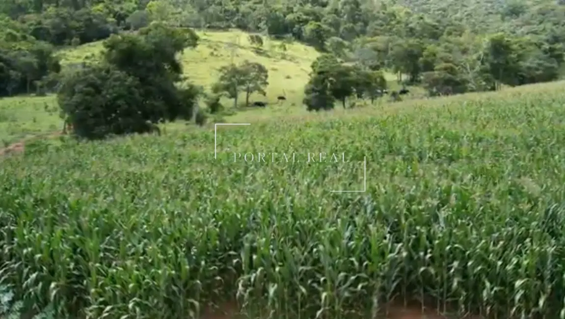 Foto 5 de Sítio / Rancho com 3 quartos à venda, 200m2 em Guape - MG