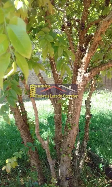 Foto 5 de Chácara com 3 quartos à venda, 233m2 em Paulinia - SP