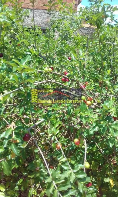 Foto 8 de Chácara com 3 quartos à venda, 233m2 em Paulinia - SP
